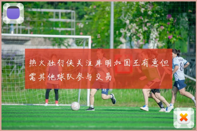 热火独行侠关注库明加国王有意但需其他球队参与交易