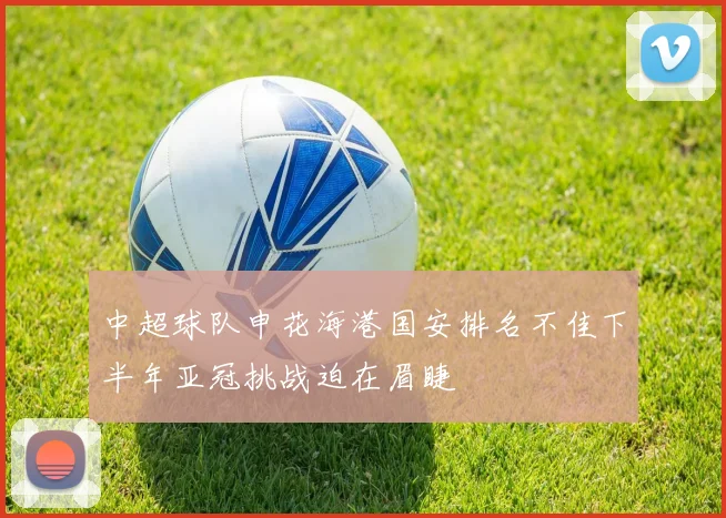 中超球队申花海港国安排名不佳下半年亚冠挑战迫在眉睫